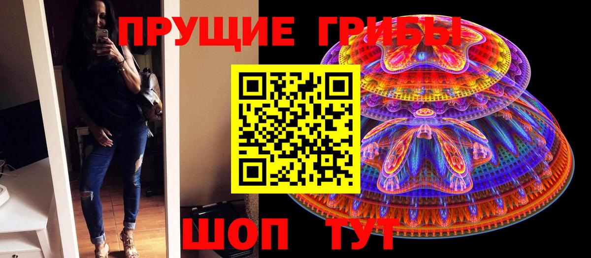 Краснокаменск  Псилоцибиновые грибы Psilocybine cubensis  Вход с VPN 