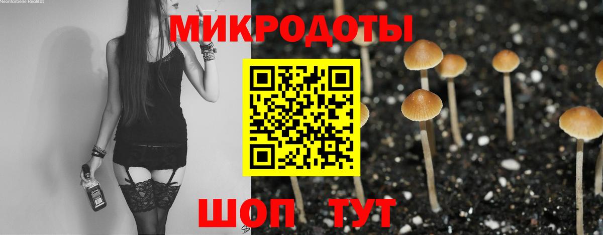 Псилоцибиновые грибы мухоморы Краснокаменск